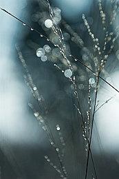 《双子幻境》Steam发售特惠 半价94元、支持简中